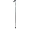 Leki Quantum PAS Ski Poles -Sport Ski Gear 0455580 041 1