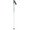 Swix Excaliber Light Ski Poles