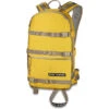 Dakine 96 Heli 16L Backpack